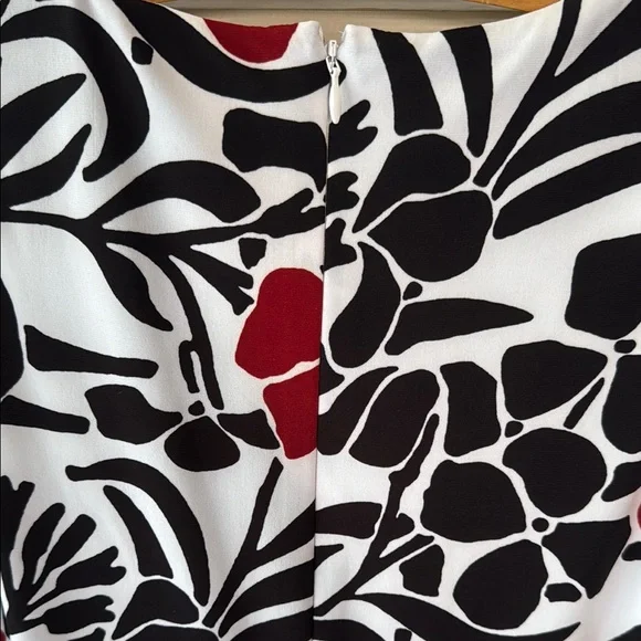Jones Studio Floral Sleeveless Dress - Black, White, and Maroon - Picture 3 of 14